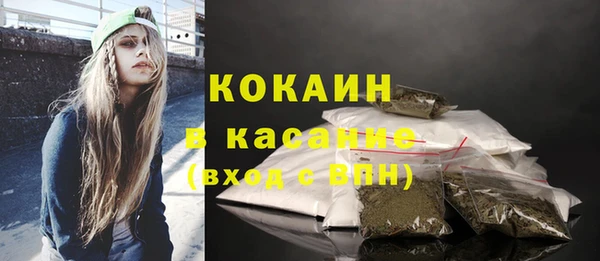 дмт Гусев