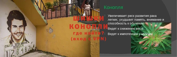 дмт Гусев