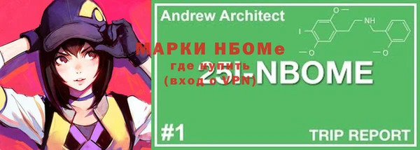 дмт Гусев