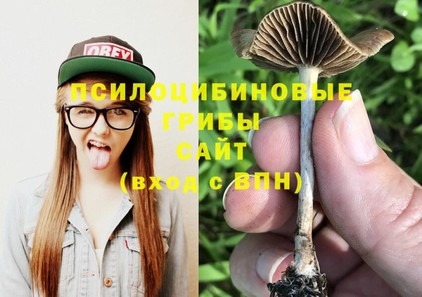 дмт Гусев