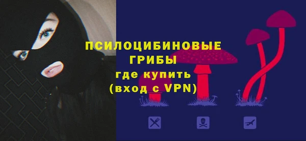дмт Гусев