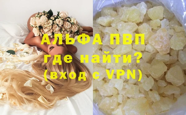дмт Гусев