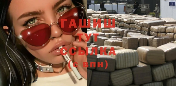 дмт Гусев
