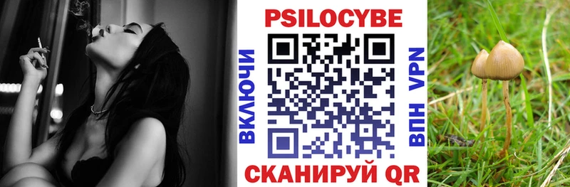 Галлюциногенные грибы прущие грибы  Купить закладки  Плёс 